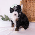 Load image into Gallery viewer, Keri